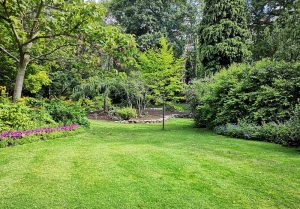 Optimiser l'expérience du jardin à Roches-sur-Marne
